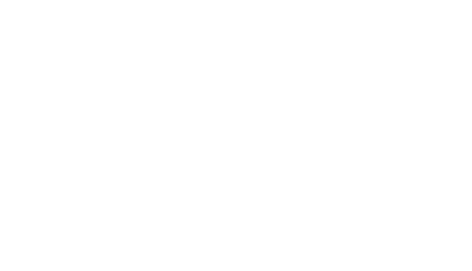 Nike Inc.