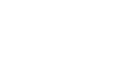 Pfizer Inc.